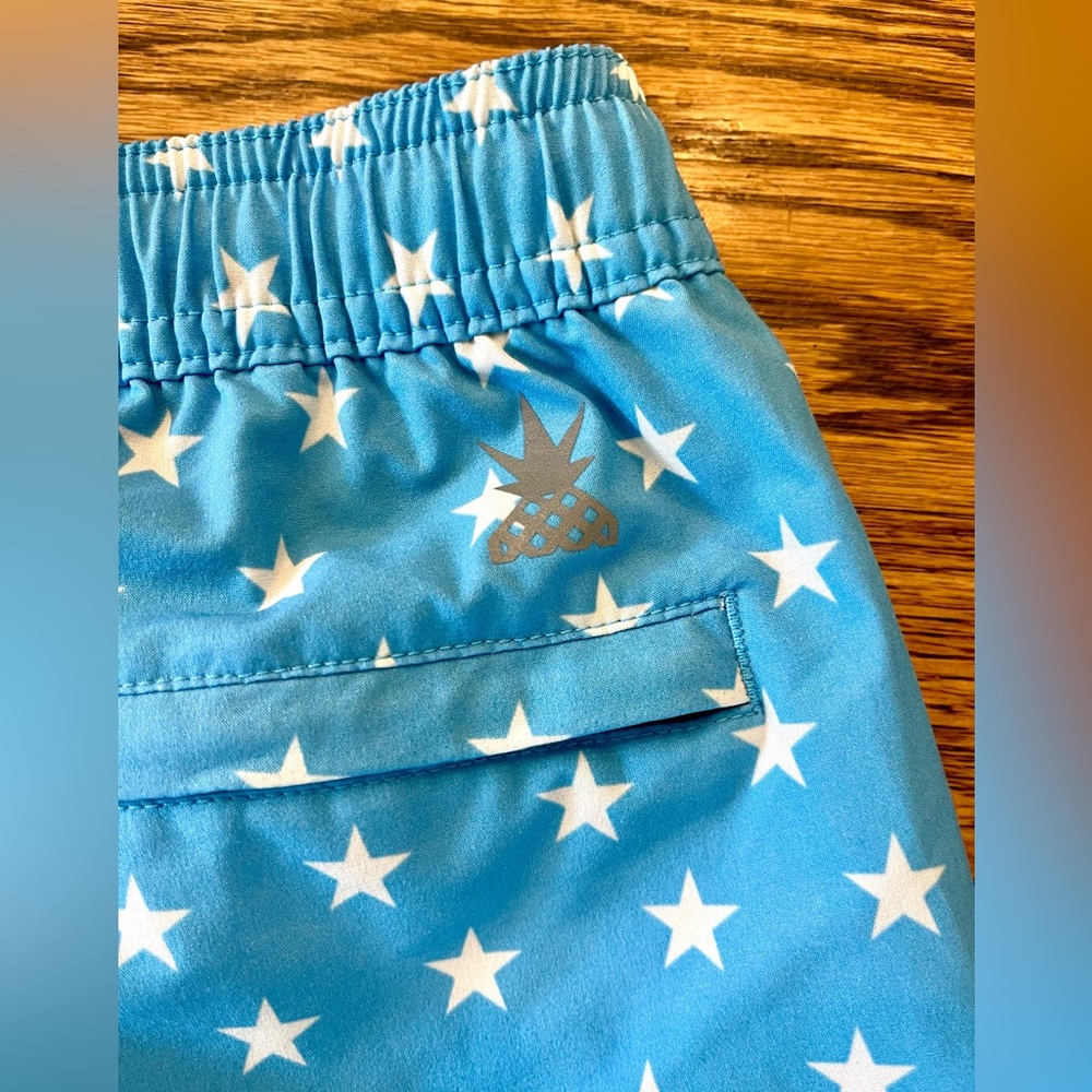 CHUBBIES Lined Classic Swim trunks - Blue star print - Picture 4 of 7